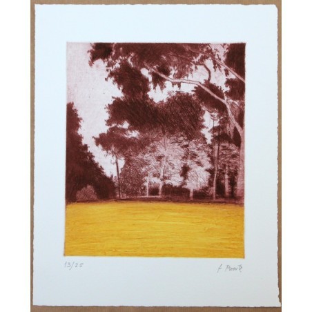 El bosque I