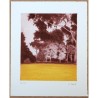 El bosque I