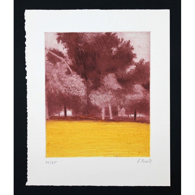 El bosque II
