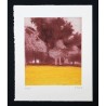 El bosque II