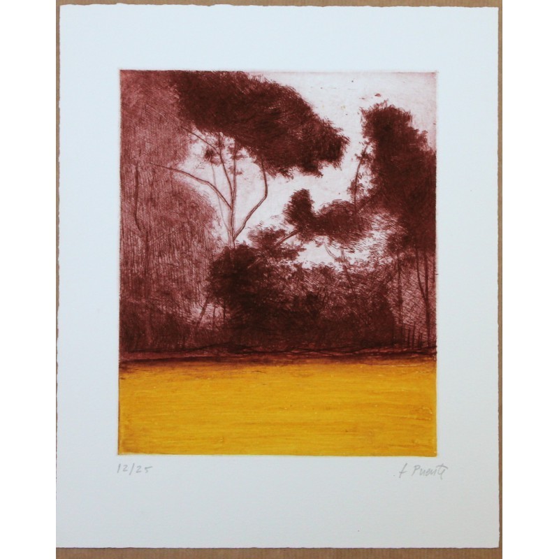 El bosque III