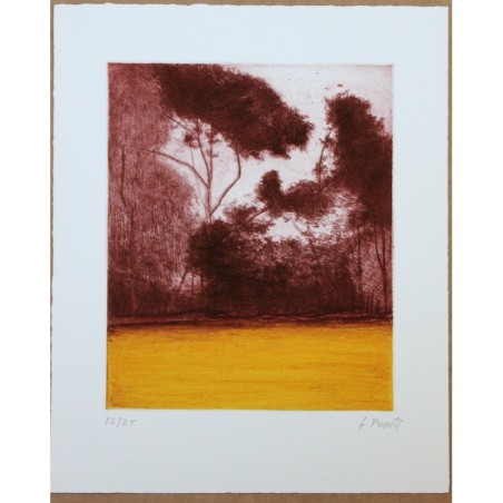El bosque III