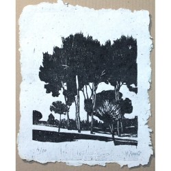 Los caminos cotidianos