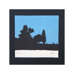 Paisaje nocturno
