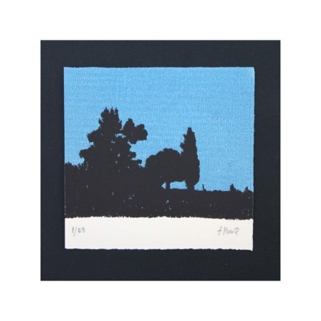 Paisaje nocturno
