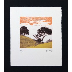 Paisaje