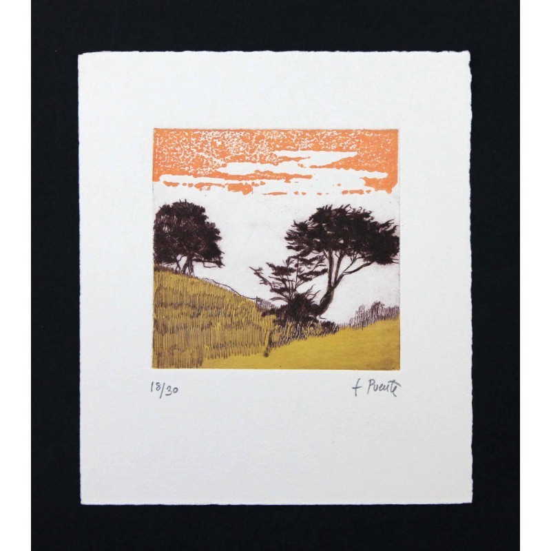 Paisaje