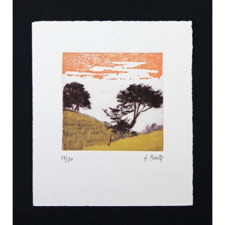Paisaje
