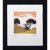 Paisaje