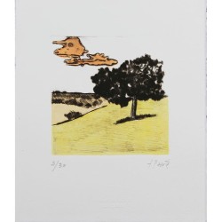 La tierra amarilla